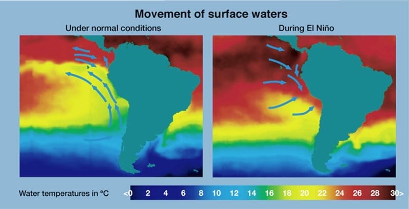 El Niño Event