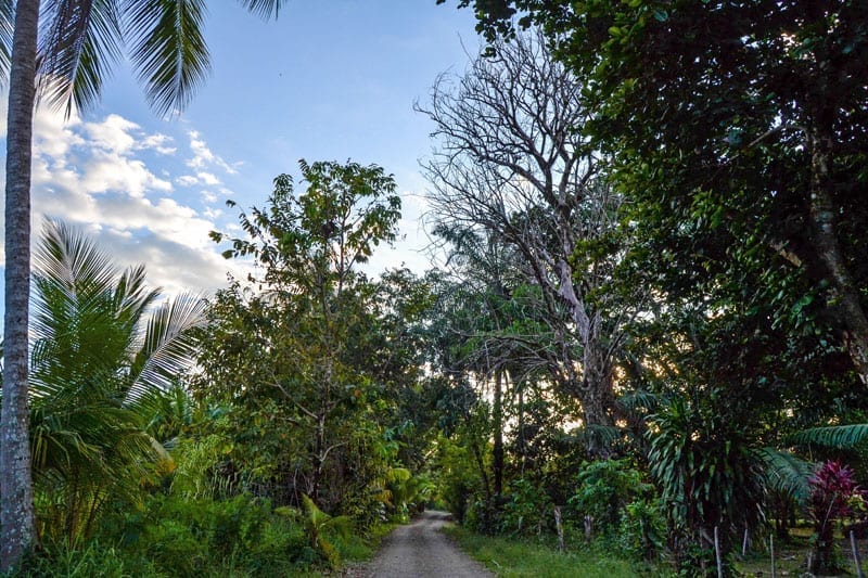 Community of Bahia Ballena