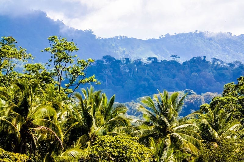 Hills over Uvita