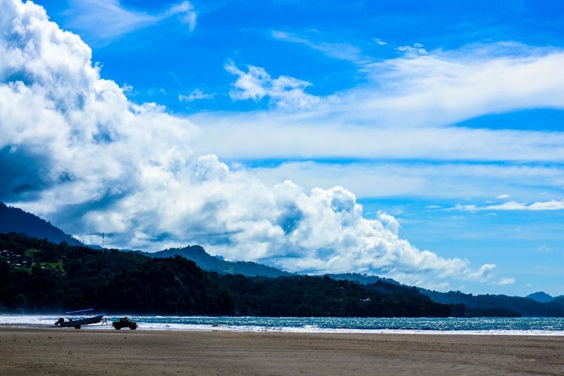 Boat tour Bahia Ballena