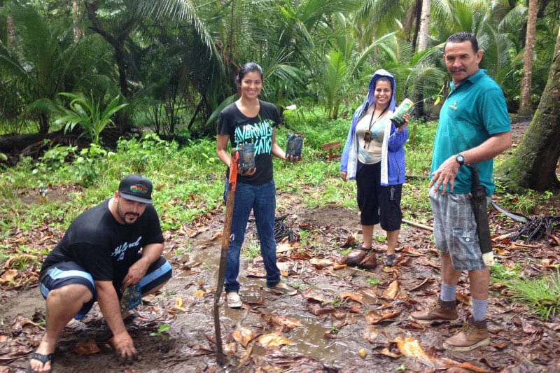 Reforestation project Bahia Ballena