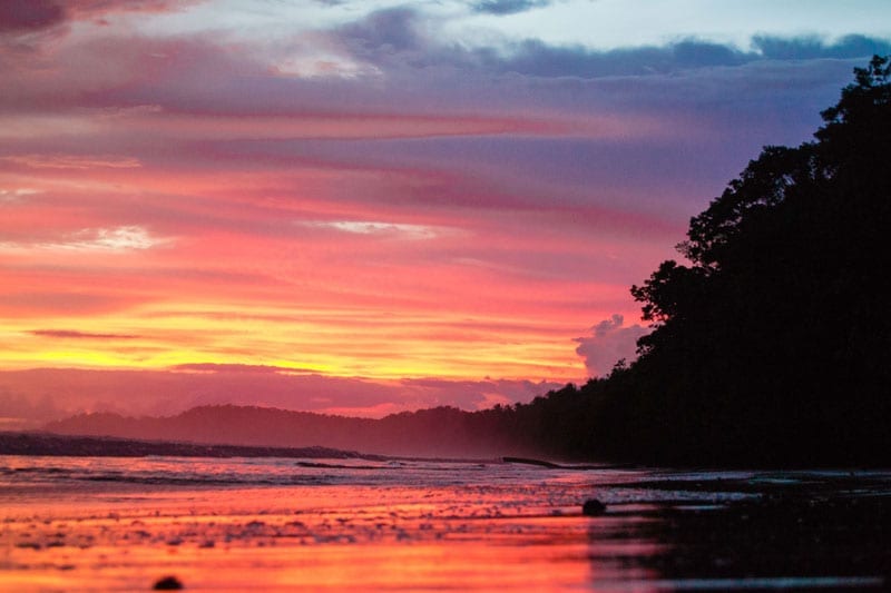 Beach in Costa Ballena