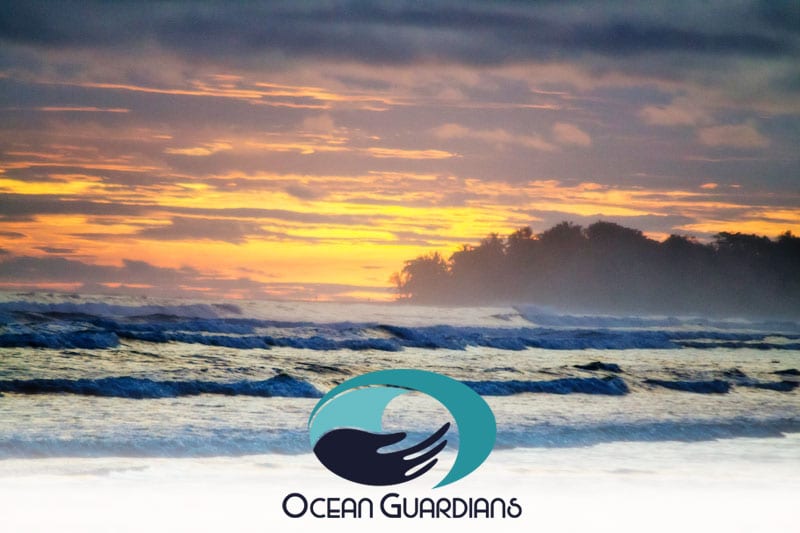 Bodhi Surf's Ocean Guardian Program
