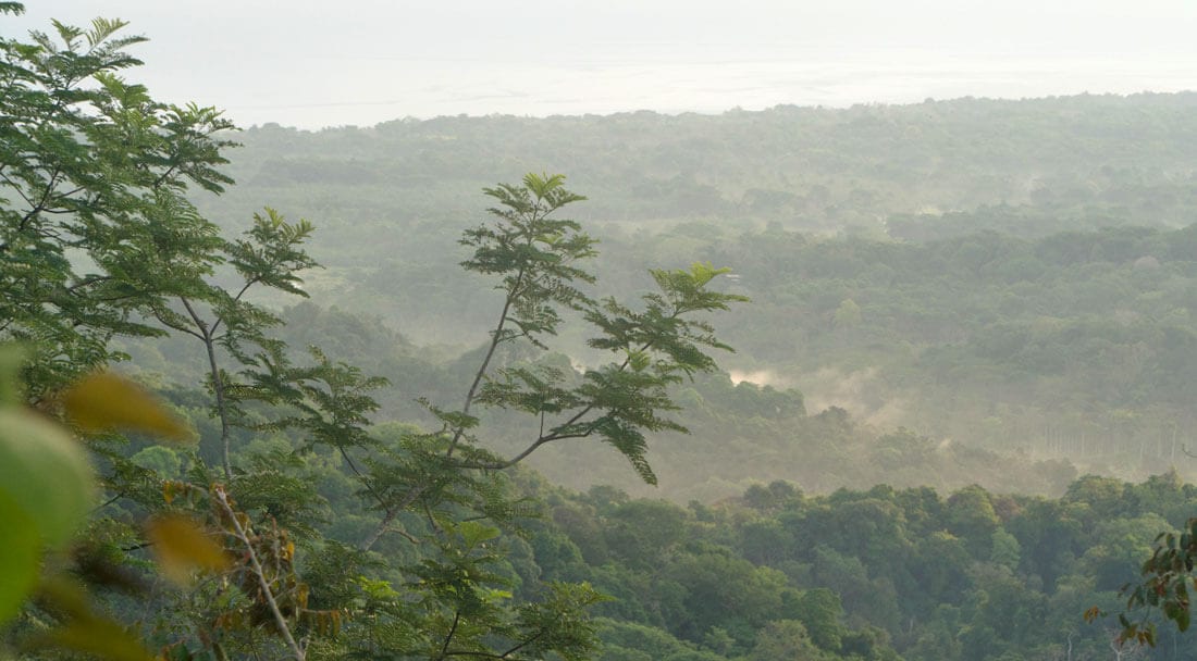 Rainy Season in Osa, Costa Rica