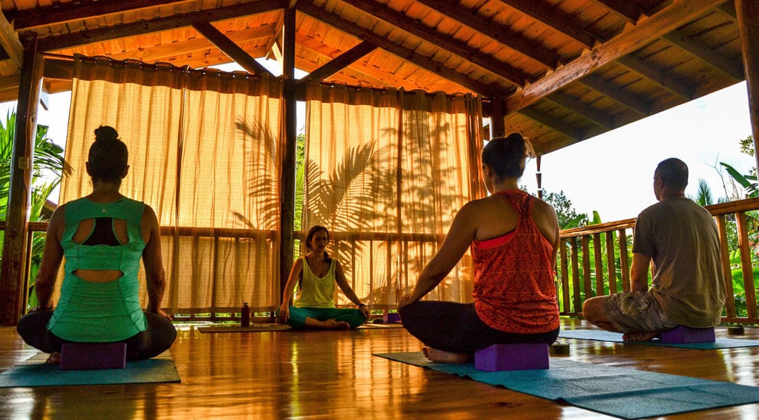 Warm weather beginner yoga retreat