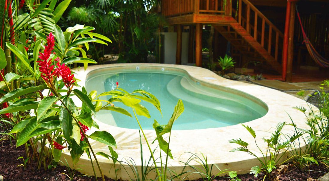 Bodhi Surf + Yoga camp pool