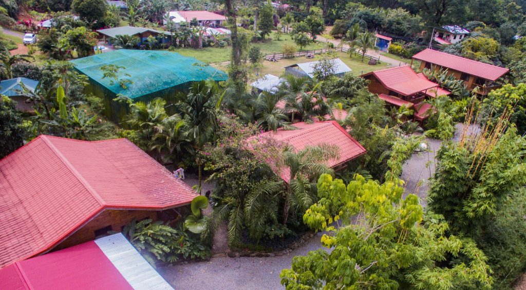 Bodhi Surf + Yoga's community of Bahia Ballena