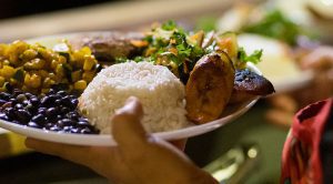 Plant based meals at Bodhi Surf + Yoga