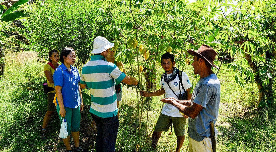 Don Guelo's farm tour in Uvita, Costa Rica
