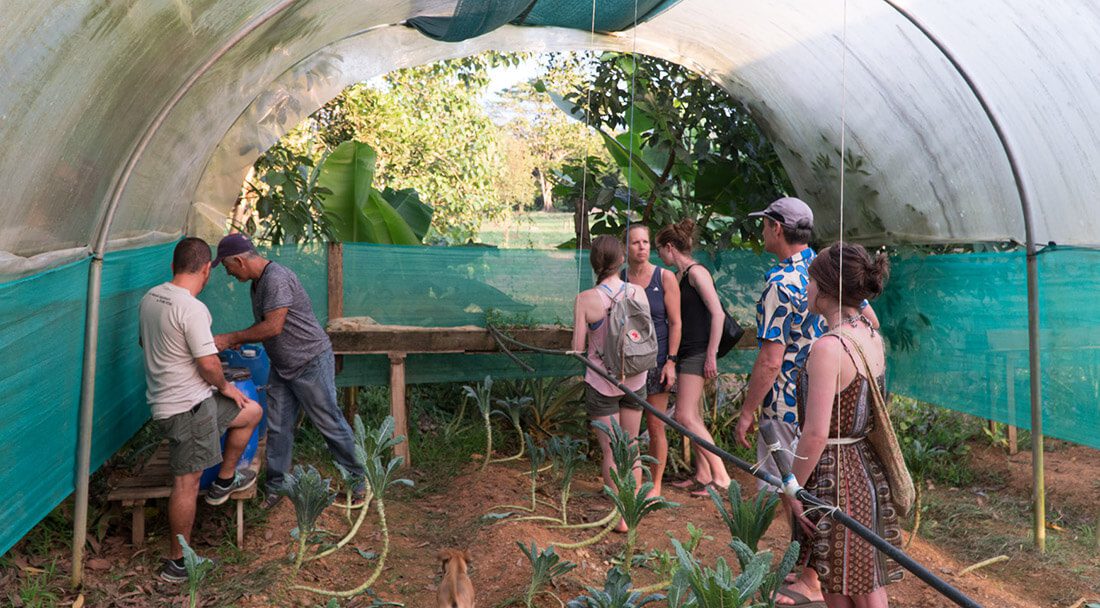 Sugar can tour in Uvita, Costa Rica