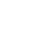 ic-store