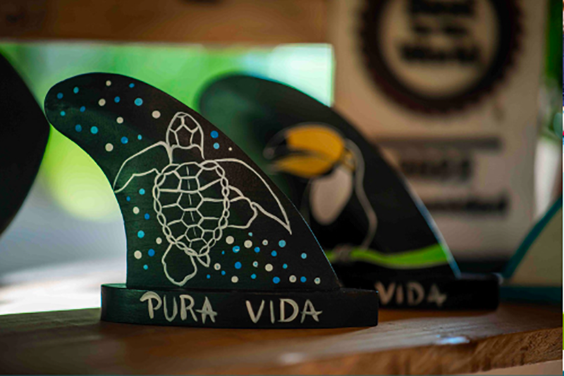 Bodhi hand-painted fins