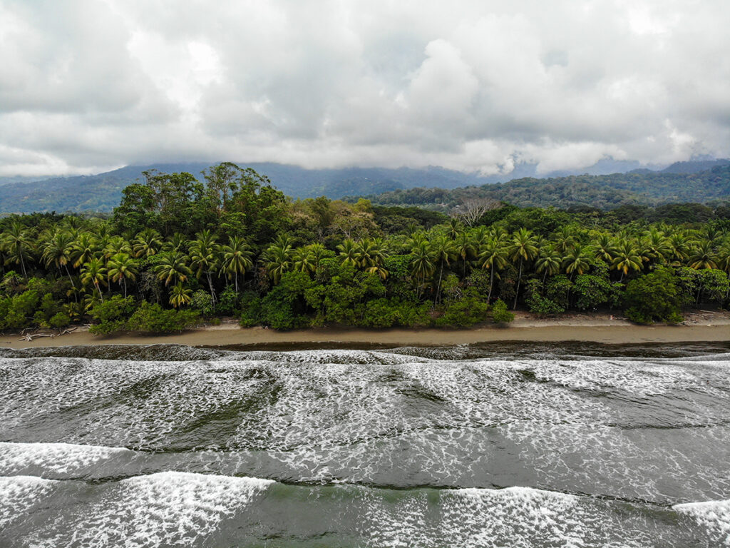 Costa Rica trees and beach view