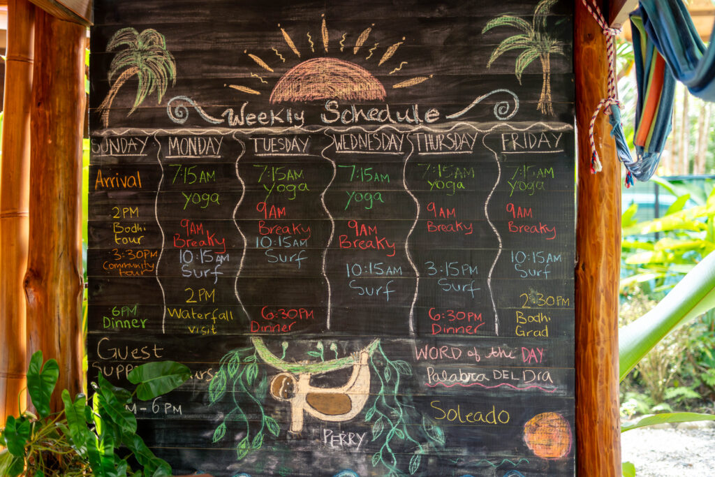 Bodhi weekly schedule