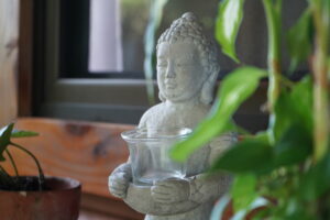 Yoga at Bodhi Surf + Yoga in Uvita, Costa Rica
