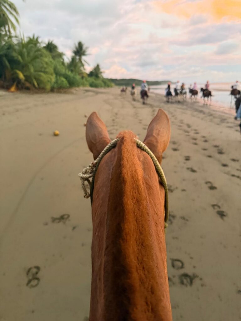 Horseback riding at Rancho La Merced in Uvita, Osa, Costa Rica