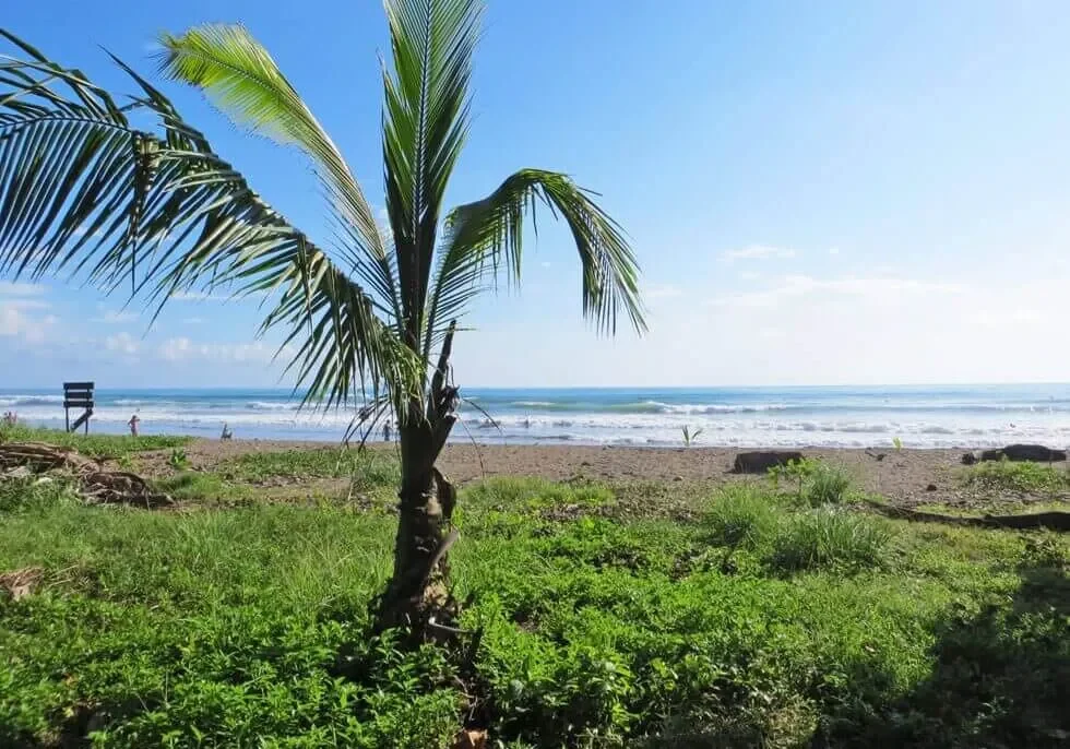 dominical-beach-landscape