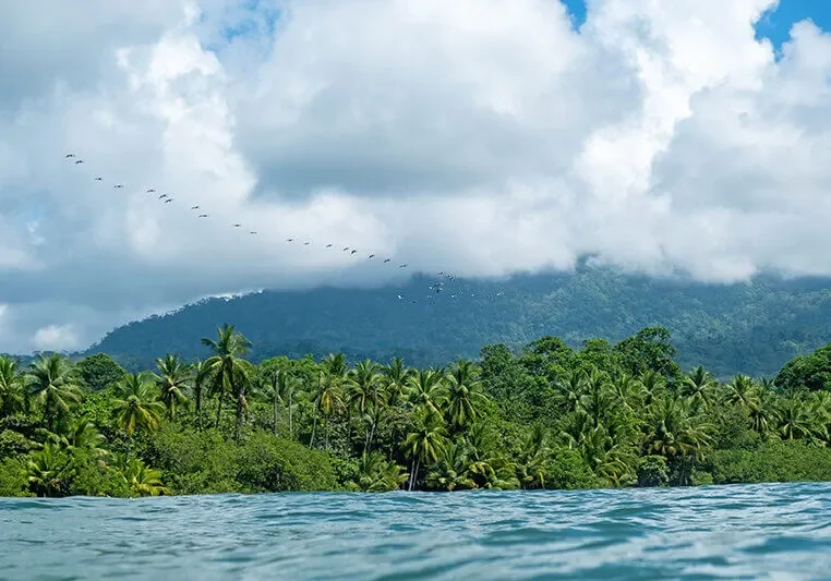 marino-ballena-landscape