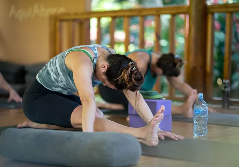 yoga-bodhi-landscape